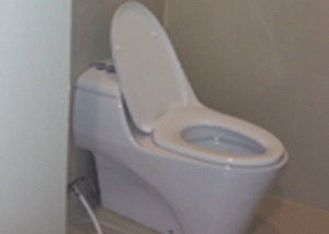 toilet